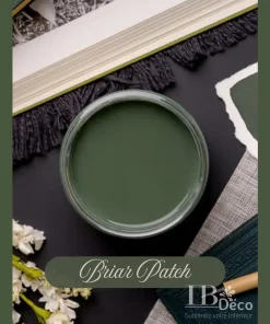 Briar Patch – Southern Roots Collection (Chalk Mineral Paint Dixie Belle)