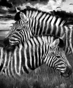 Zebras MINT by Michelle